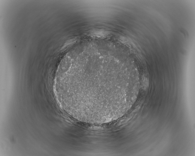 X0000111251297200908131158