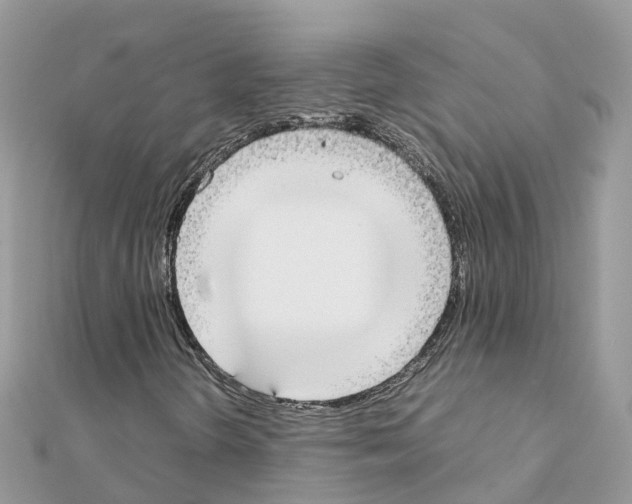 X0000111251298200908131158