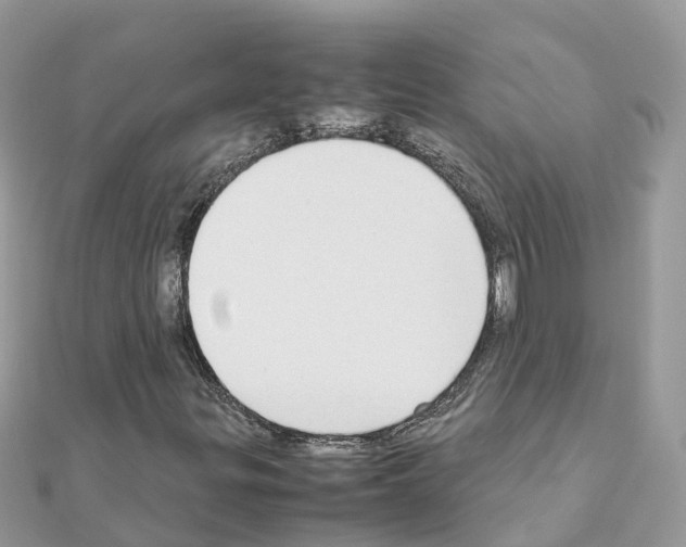 X0000111251299200908131158