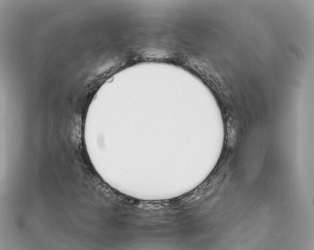 X0000111251301200908131158