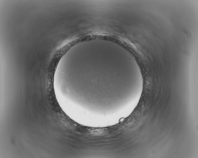 X0000111251303200908131158