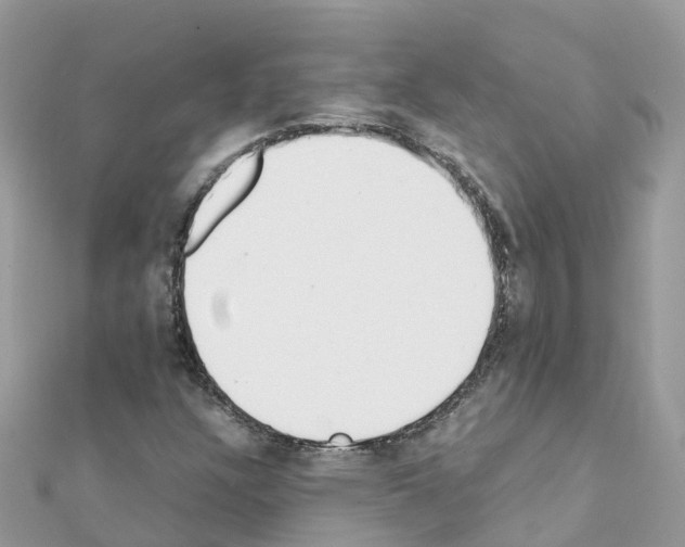 X0000111251304200908131159