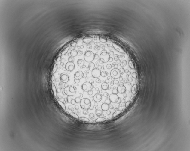 X0000111251305200908131159