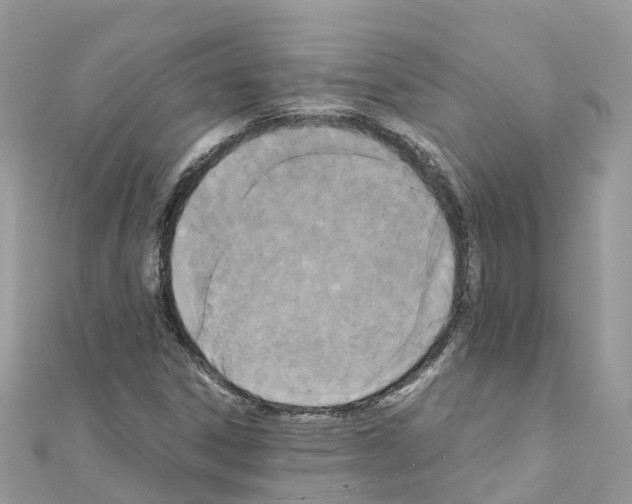 X0000111251306200908131159