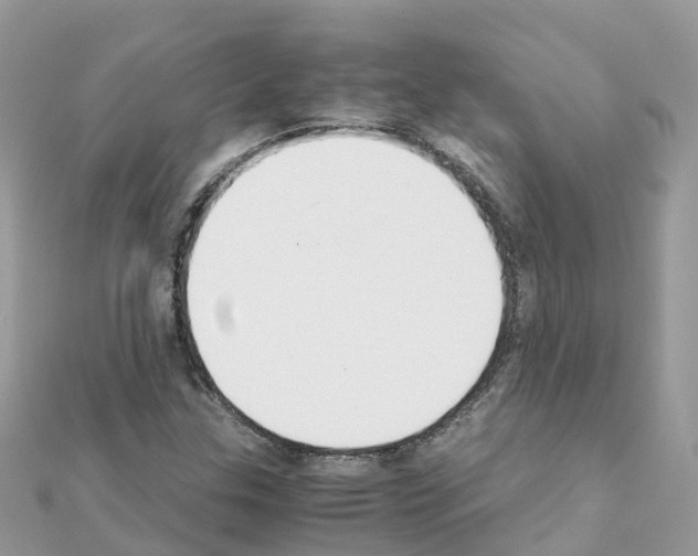 X0000111251307200908131159