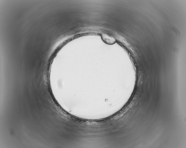 X0000111251312200908131159