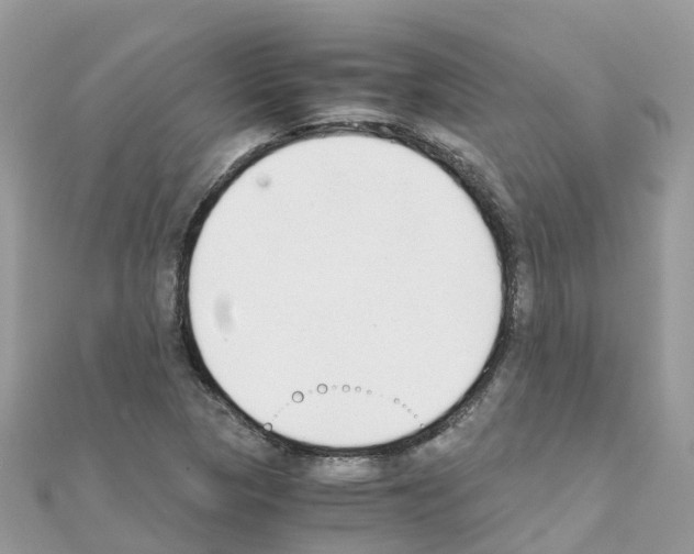 X0000111251313200908131159