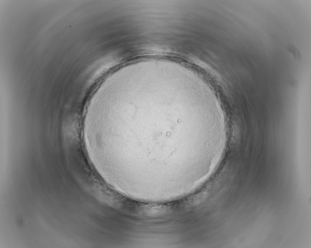 X0000111251314200908131159