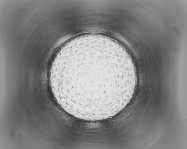 X0000111251315200908131159