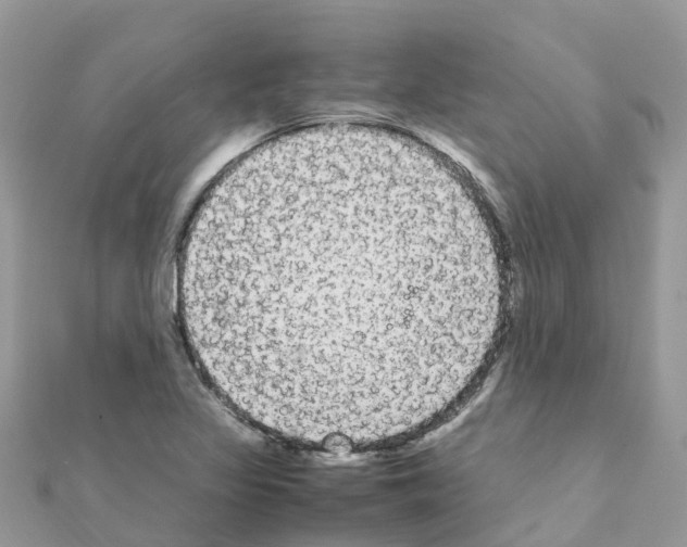 X0000111251317200908131159