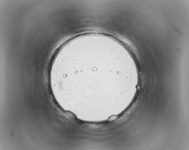 X0000111251318200908131159