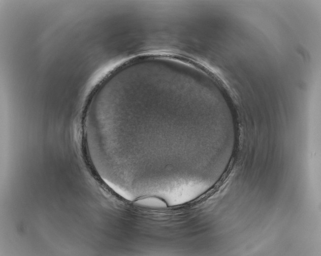 X0000111251319200908131159