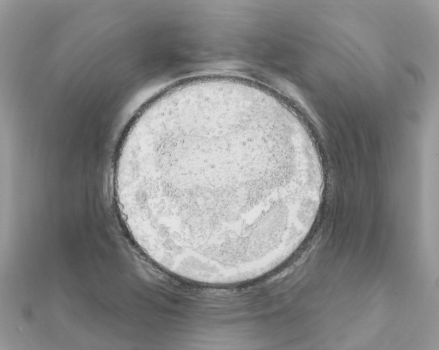 X0000111251320200908131159