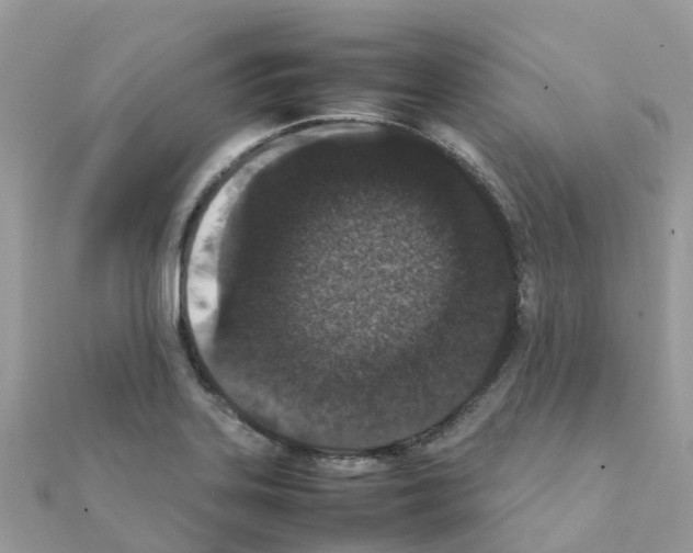 X0000111251323200908131159