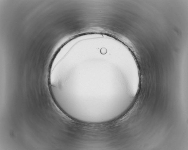 X0000111251326200908131159