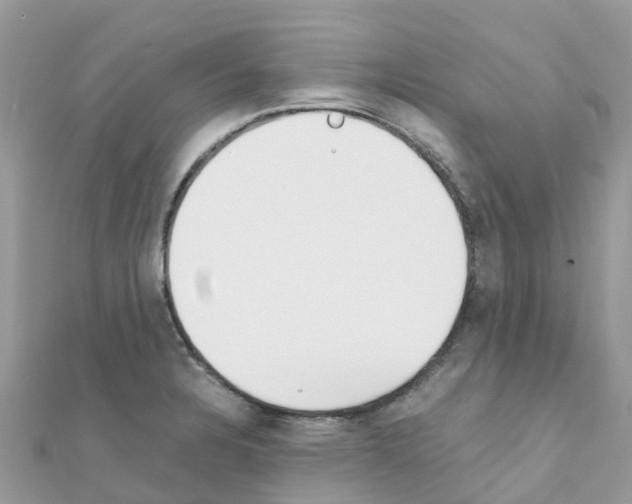 X0000111251328200908131159