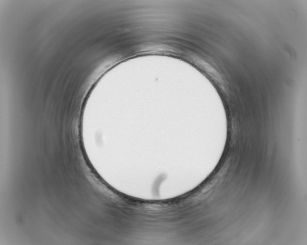 X0000111251330200908131159