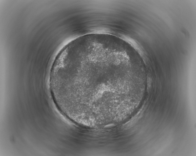 X0000111251331200908131159