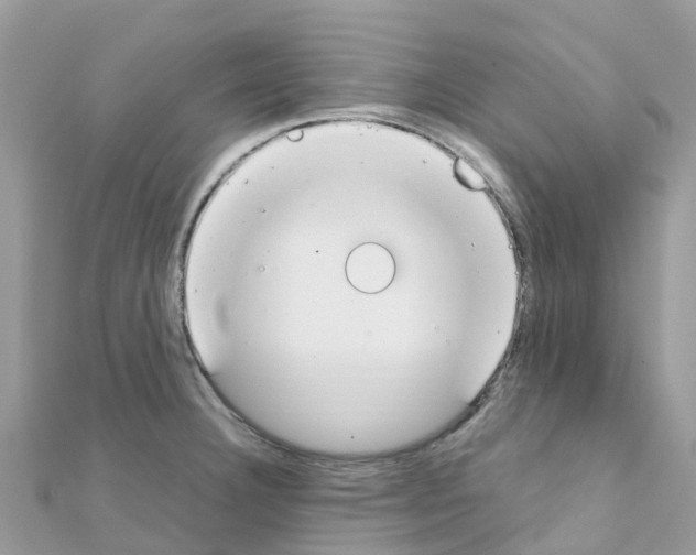 X0000111251332200908131159