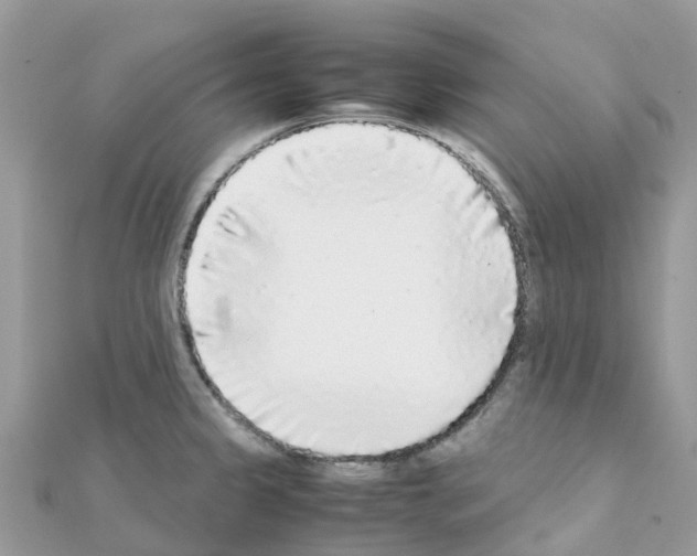 X0000111251333200908131159