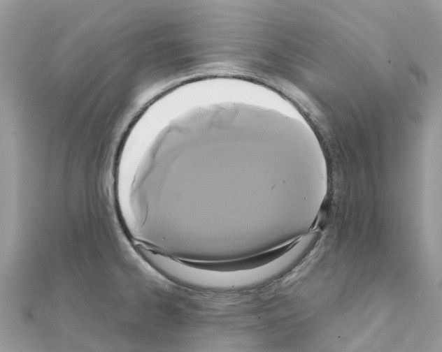 X0000111251334200908131159