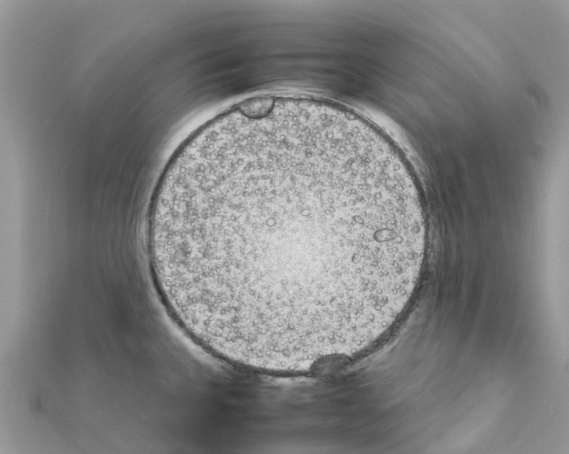 X0000111251335200908131159