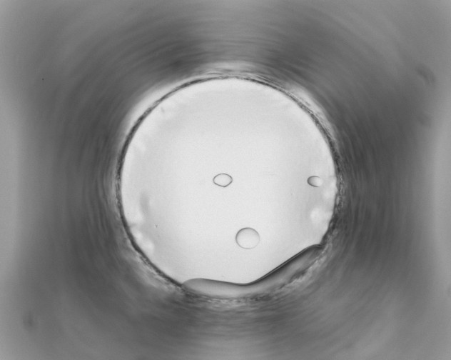 X0000111251336200908131159