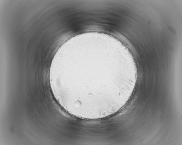 X0000111251337200908131159