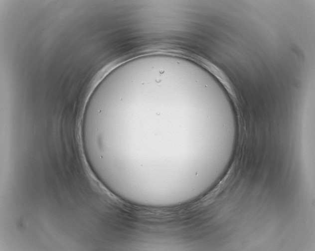 X0000111251338200908131159