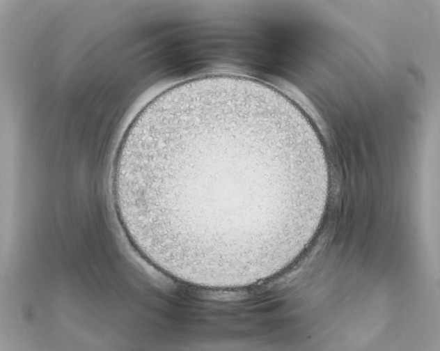 X0000111251339200908131159