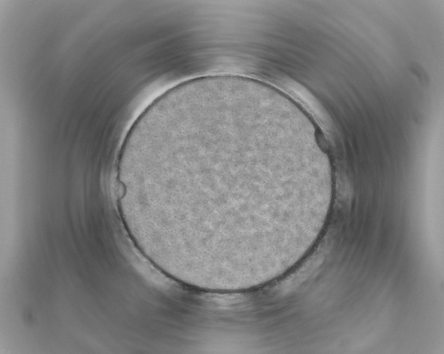 X0000111251340200908131159