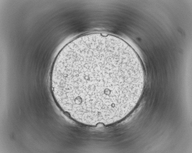 X0000111251341200908131159