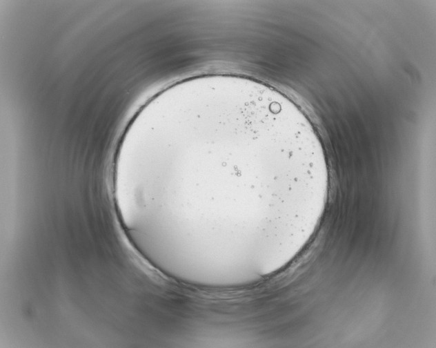 X0000111251342200908131159