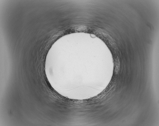 X0000111251345200908131158