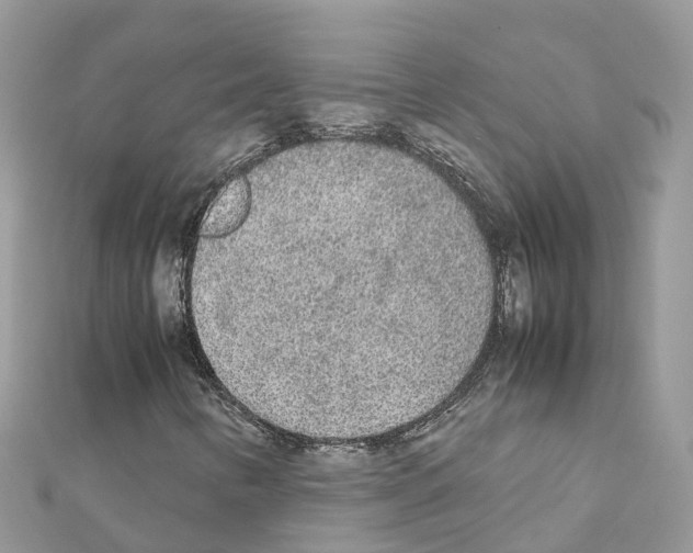 X0000111251346200908131158