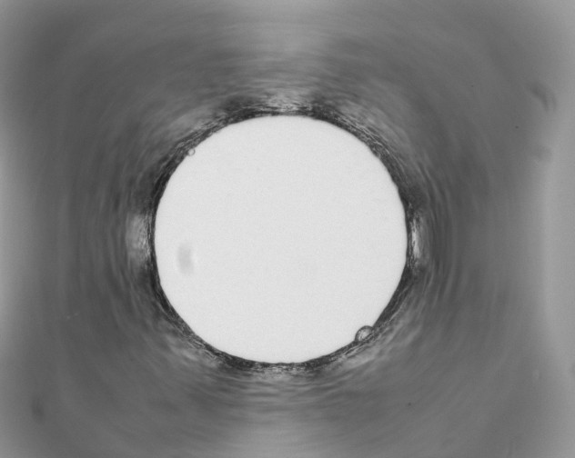 X0000111251347200908131158