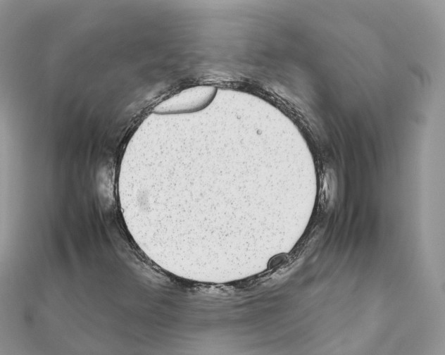 X0000111251348200908131158