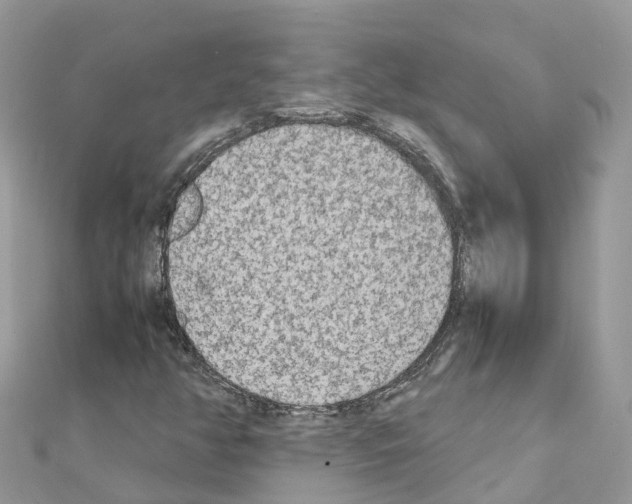 X0000111251350200908131158