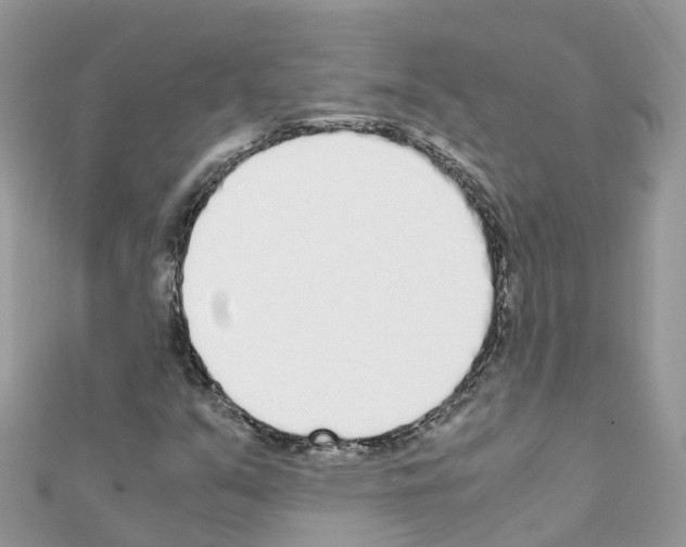 X0000111251351200908131158