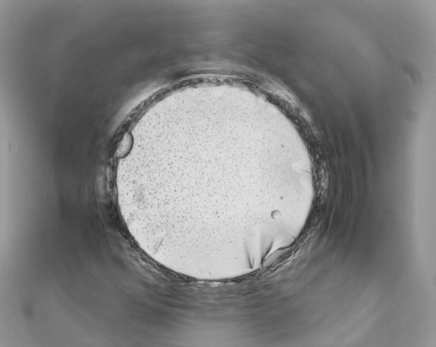 X0000111251352200908131158