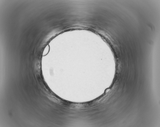 X0000111251355200908131158