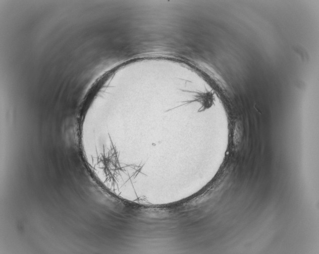 X0000111251356200908131158