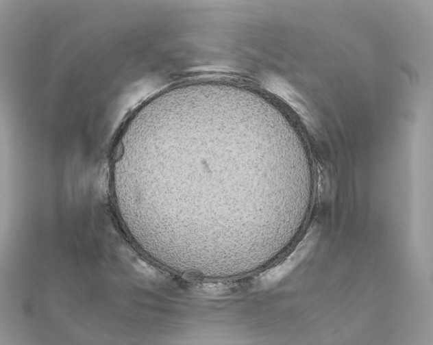 X0000111251357200908131158