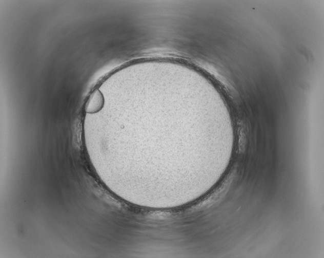 X0000111251358200908131158