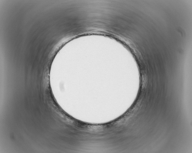 X0000111251363200908131158