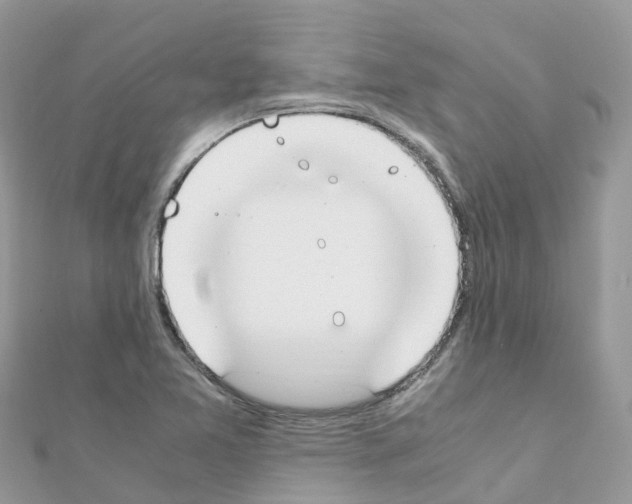 X0000111251365200908131158