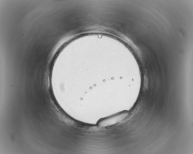 X0000111251368200908131158