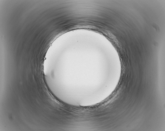 X0000111251369200908131158