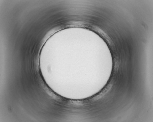 X0000111251370200908131158