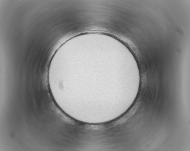 X0000111251374200908131158